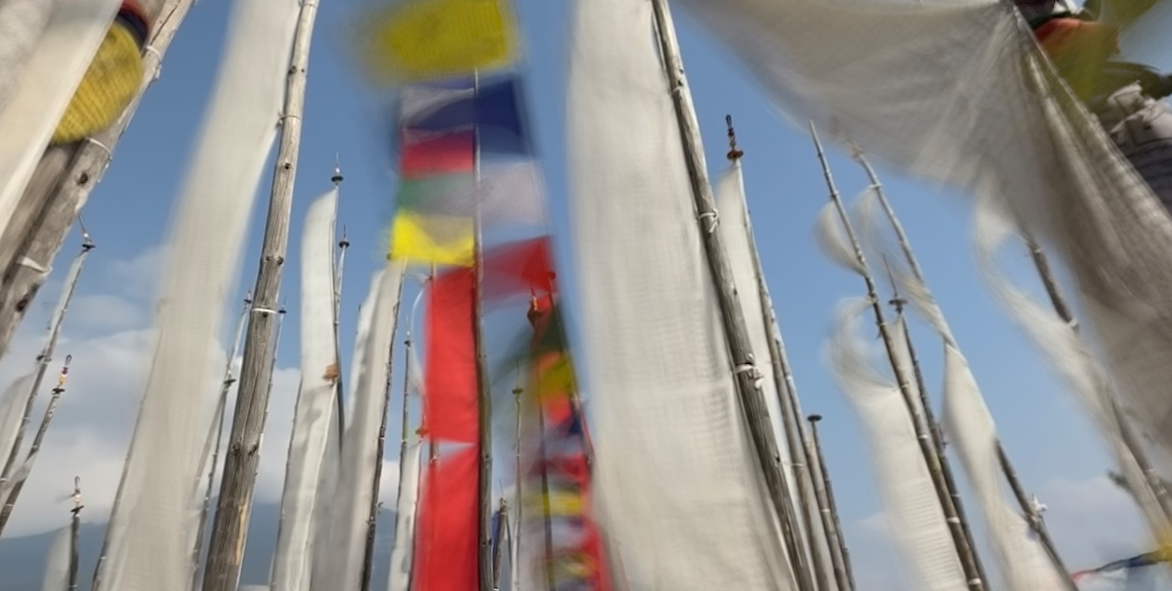 flags